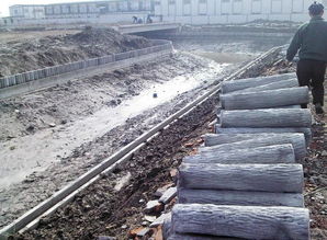 供应上海地山秀美景观工程有限公司仿木桩 挡土墙 驳岸桩 护岸桩